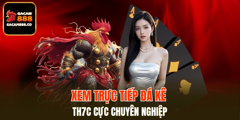 TH7C có sân đấu kê nổi bật với các chuỗi live