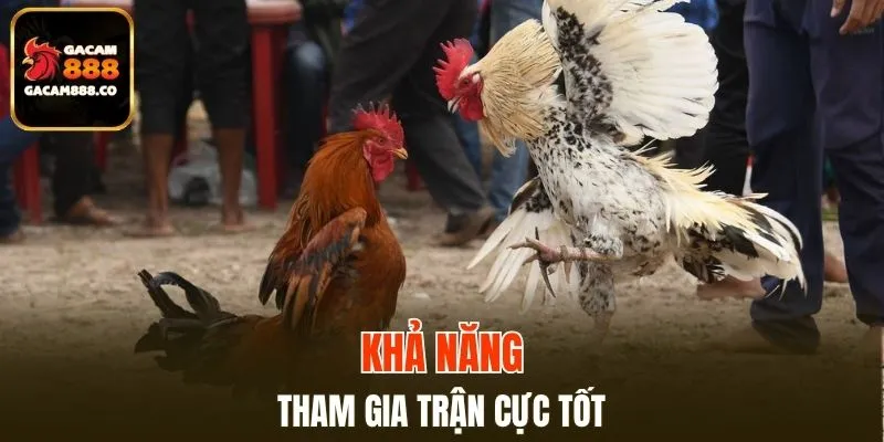 Tham gia chiến đấu kiên cường