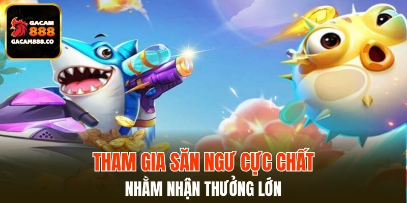Tham gia săn ngư cực chất nhằm nhận thưởng lớn