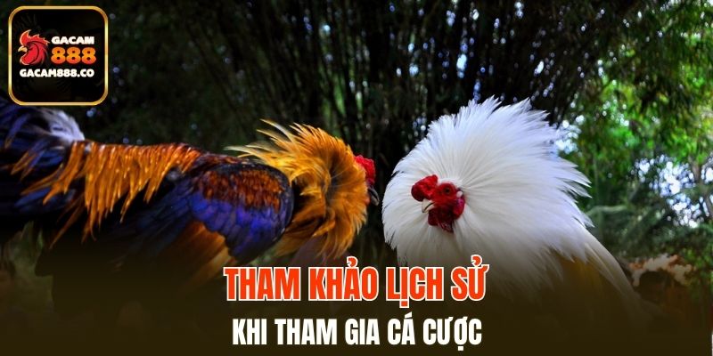 Tham khảo lịch sử khi tham gia cá cược