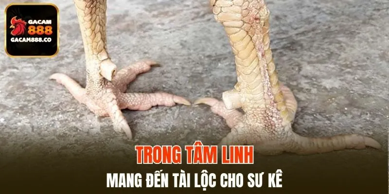 Thể hiện sức mạnh và tài lộc