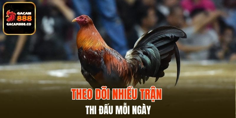 Theo dõi nhiều trận thi đấu mỗi ngày