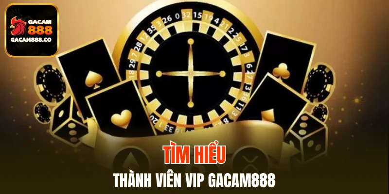 Tìm hiểu của thành viên VIP GACAM888