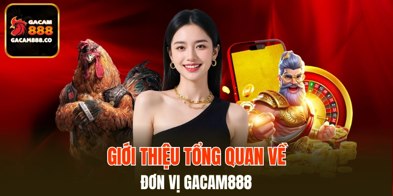 Trải nghiệm không khí đá gà trực tuyến máu chiến