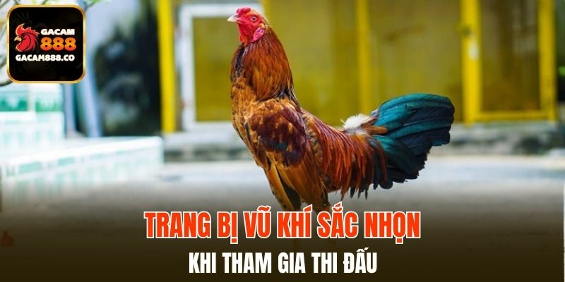 Trang bị vũ khí sắc nhọn khi tham gia thi đấu