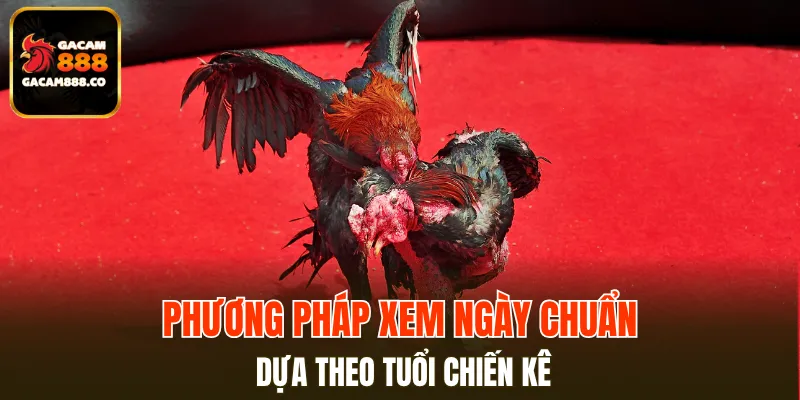 Xem ngày chuẩn 99% theo tuổi gà
